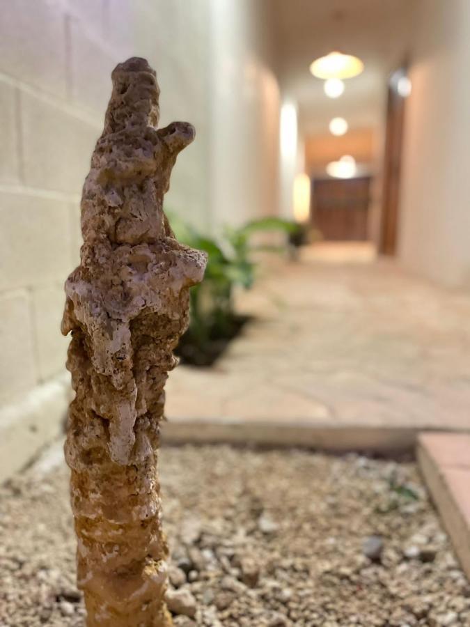 Hotel Marabu Cancún Exterior foto
